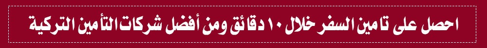 التامين الدولي للسفر 